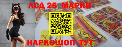 apvp Беслан