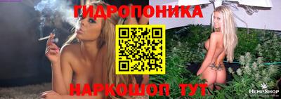 apvp Беслан