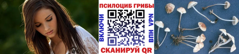Галлюциногенные грибы ЛСД  MEGA зеркало  Борзя  что такое наркотик 