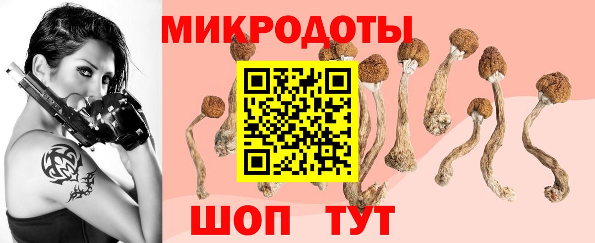 магазин    Вход с VPN  Борзя  Галлюциногенные грибы мицелий 