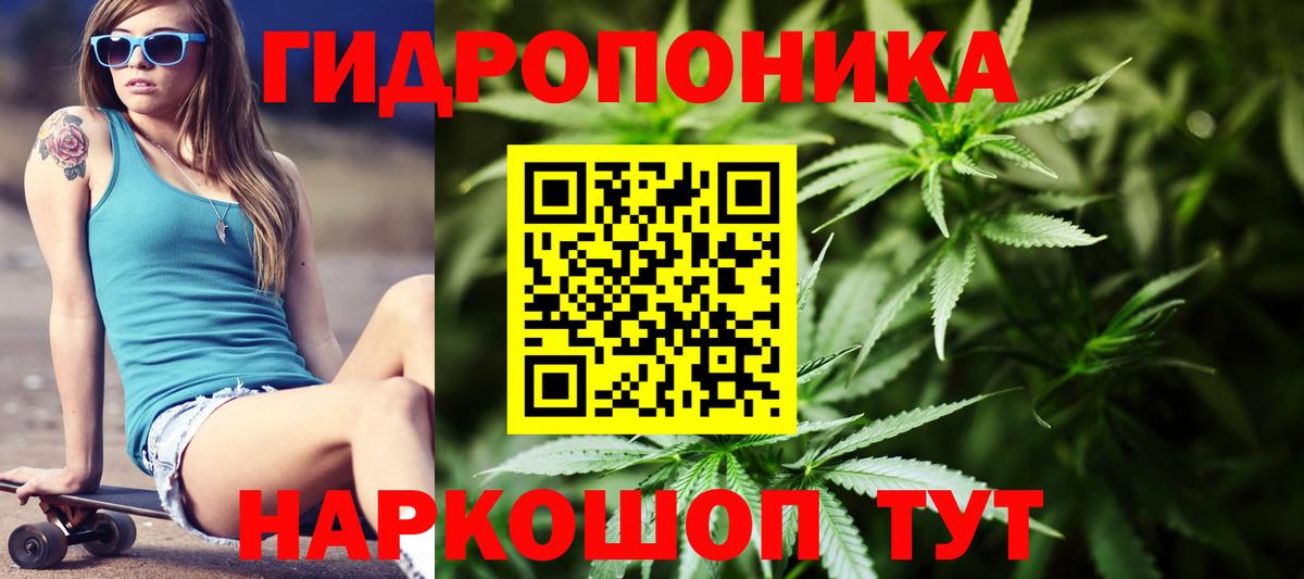 Шишки марихуана VHQ  Канабис семена  Бошки Шишки планчик  Бошки Шишки сатива  Вход с VPN  Борзя 